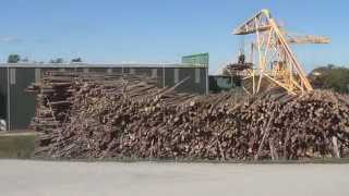 Fulghum Fibres Gold Hill Mill near Dillwyn Virginia [upl. by Ahseym]