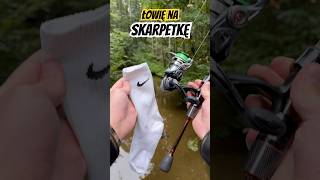 Czy okoń lubi stópki  🤔😭 dc fishing nateb carpfishing okoń viralvideo fishinglife [upl. by Crabb152]