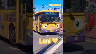 Lani 💛 경산버스 라니 💛💛 DaeguBoy0609 [upl. by Saiasi611]