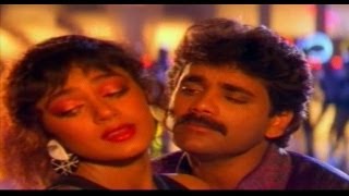 Neti Siddhartha Telugu Movie Songs  Neeve Kada Naa Sweetu  Nagarjuna  Sobhana [upl. by Lyda449]