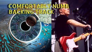 Comfortably Numb  PULSE  Backing Track Last Solo With Audience [upl. by Alasdair]