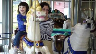 Carousel at the Zoo part 2 [upl. by Inah]