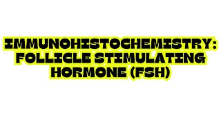 IMMUNOHISTOCHEMISTRY FOLLICLE STIMULATING HORMONE FSH [upl. by Eran]