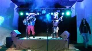 Metalachi  Here I Go Again  Live 2013  HD [upl. by Alexandre633]