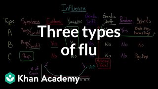 Three types of flu  Infectious diseases  Health amp Medicine  Khan Academy [upl. by Sirovart]