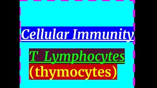 CELLULAR IMMUNITY  T Lymphocytes thymocytes thymus thymosin [upl. by Ilaire]