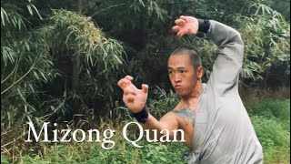 Shaolin Mizong Quan Yilu [upl. by Haberman]