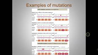 Mechanisms of Microbial Genetics [upl. by Enyt]