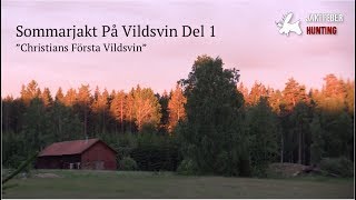 JAKTFEBER Sommarjakt På Vildsvin Del 1 [upl. by Eikcim529]