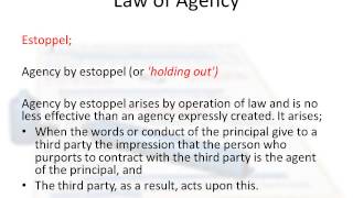 Law of Agency in Ireland [upl. by Nnyleitak]