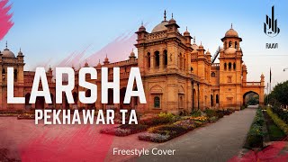 Larsha Pekhawar ta  Freestyle Cover  Ali Zafar and Gul Panra [upl. by Nnawtna3]