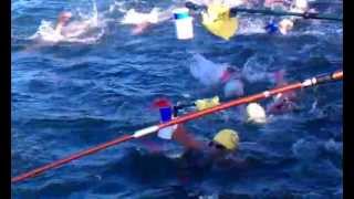 Nat Open Water 10K Feeding Station action [upl. by Secnirp]