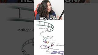 Regulación de la expresión genética eucariota ubaxxi uba cbc ciencia biologia biolyl [upl. by Moll827]