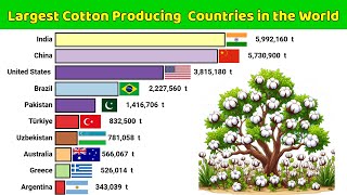 Largest Cotton Producing Countries in the World [upl. by Octavla]