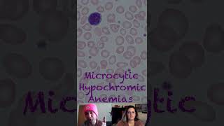 Pathophysiology of Microcytic Hypochromic Anemias [upl. by Naenaj543]