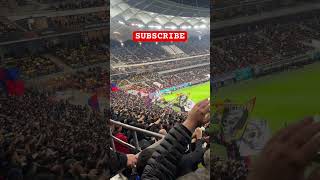 Atmosfera superba in Peluza FCSB ☠️ FCSB Midtjylland shorts youtubeshorts reels europaleague [upl. by Nilkoorb]