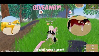 DOING A GIVEAWAY IN WILD HORSE ISLANDS FOR STARTING MY CHANNEL chloeplayswhi6 [upl. by Turnbull]