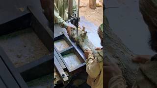 Best idea for Heavy Wood Cutting shorts foryou youtubeshorts ideas woodworking trending diy [upl. by Junina]