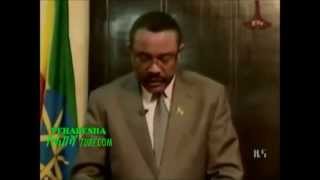 Hailemariam Desalegn funny speech [upl. by Rennoc]