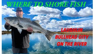 WHERE TO SHORE FISH The River Laughlin Nevada and Bullhead City Arizona [upl. by Daahsar]