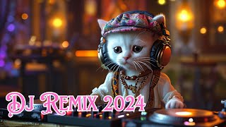 Dj Remix 2024 [upl. by Schaefer]