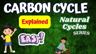 Natural Carbon Cycle  Easy amp Simple Explanation [upl. by Gayle]