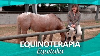 EQUINOTERAPIA 11  Equitalia [upl. by Cyrilla719]