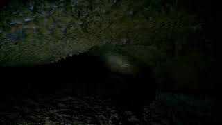 Dead Horse Cave video 5 part 26 5k 30fps 2880p30 [upl. by Ekyt]