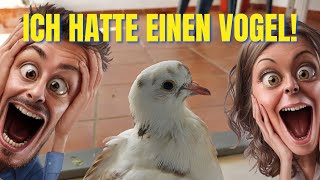 Neuigkeiten im Dezember 2023  Ich hatte einen Vogel VLOG 478 [upl. by Deny]