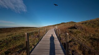 Hallasan Mountain Yeongsil Trail Descent Jeju Island South Korea•4K HDR [upl. by Olegnaid]