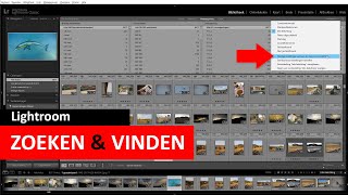 Lightroom Classic  Fotos zoeken en vinden Dutch [upl. by Cohen]