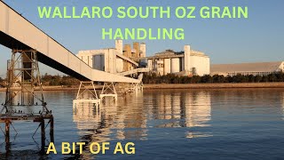 WALLAROO CARAVANNING AND GRAIN HANDLING [upl. by Ardiekal117]