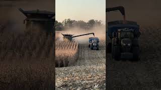 Fendt Vario 1050 Pulling Grain Cart Fendt farm farming graincart harvest corn johndeere [upl. by Riocard]