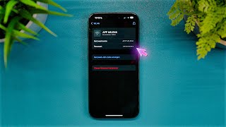 iPhone WLAN Passwörter anzeigen iOS 18 [upl. by Izogn]