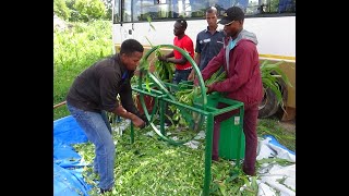 Affordable forage chopper for smallscale farmersBurkina Faso [upl. by Annahsed]