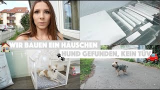 WIR BAUEN EIN HÄUSCHEN HUND GEFUNDEN KEIN TÜV  MY LIFE 39 [upl. by Asa736]