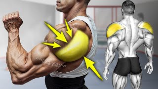 5 Best Rear Delt Exercises Expert Tips [upl. by Schilling]