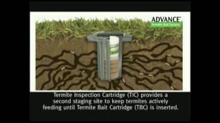 Aggro presents The Advance Termite Baiting System by BASF [upl. by Adnawyek]