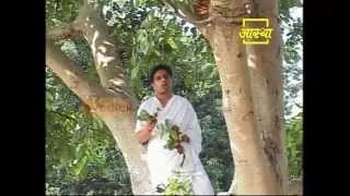 Ayurvedic use Cluster Fig Guller [upl. by Ramel]