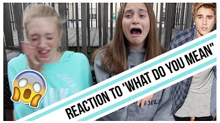 Reaction To What Do You Mean Music Video [upl. by Eiddet]