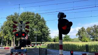 Spoorwegovergang Rosmalen Hoff van Hollantlaan  Dutch railroad Crossing [upl. by Cnahc]