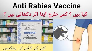 Rabies Vaccine Uses amp Side Effects In UrduHindi  Dog Bite Injection  Kutte Ke Katne Ka Injection [upl. by Elsey]