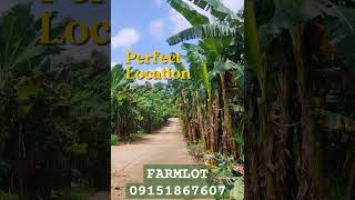 Residential FarmLot for Sale Brgy Dagatan Amadeo CaviteLot area200 sqm [upl. by Nuncia687]