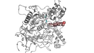 Donepezil binding to AChE [upl. by Seel]