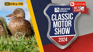 Classic Motor Show 2024 classiccars car motorcar carshow cars [upl. by Pincas]