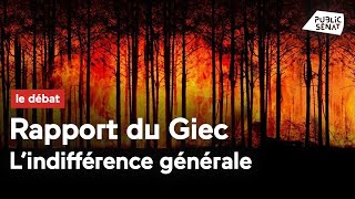 Climat  le rapport du Giec publié dans l’indifférence générale [upl. by Jacquie]