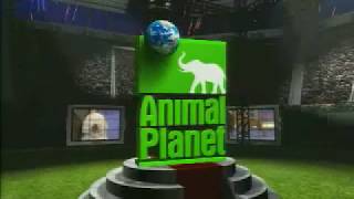 Animal Planet the Eukanuba Tournament of Champions ident by Belief 2002 [upl. by Nerot]