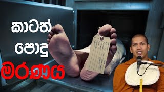 කාටත් පොදු මරණය  Ven Kirulapana Dhammavijaya Thero [upl. by Hendrix168]