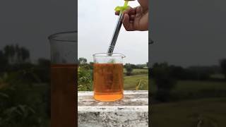 Gas lighter vs petrol testing experiment science outofgas crazyxyz scienceexperiment [upl. by Reggie966]