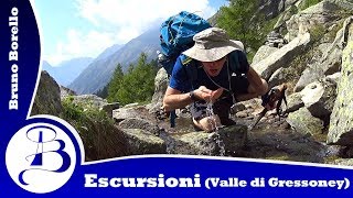 Punta Tre Vescovi da Niel  Rifugio Rivetti BI  ritorno ad anello Valle di Gressoney [upl. by Asile]